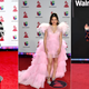 Illustration for article titled The 2018 Latin Grammys Red Carpet Was Positively Dripping With Glamour (Drip Drip)